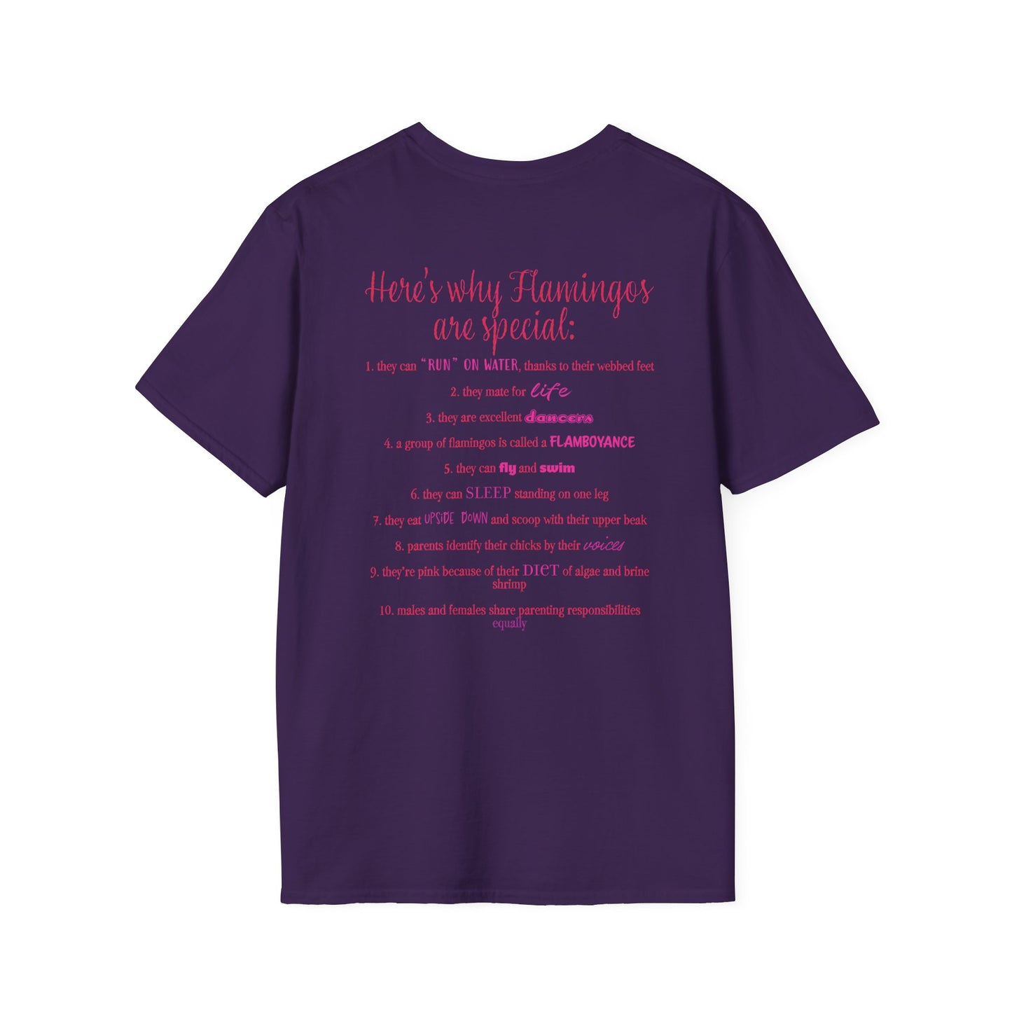 Back of a purple unisex short-sleeve tee that proudly declares “Here’s why flamingos are special” above a list of 10 fun flamingo facts — because nothing says style like bird-based trivia on your back.