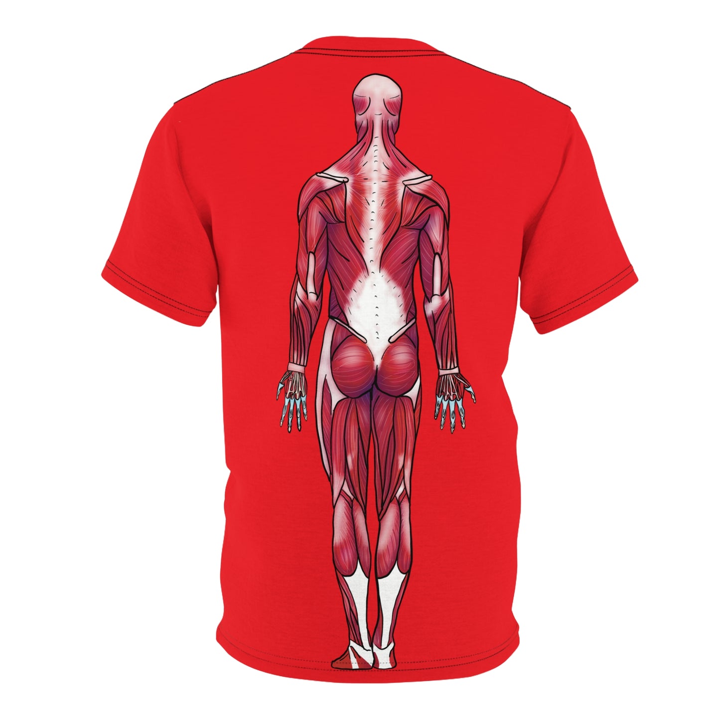 Red athletic t-shirt featuring a detailed posterior view diagram of the human muscular system printed on the back.