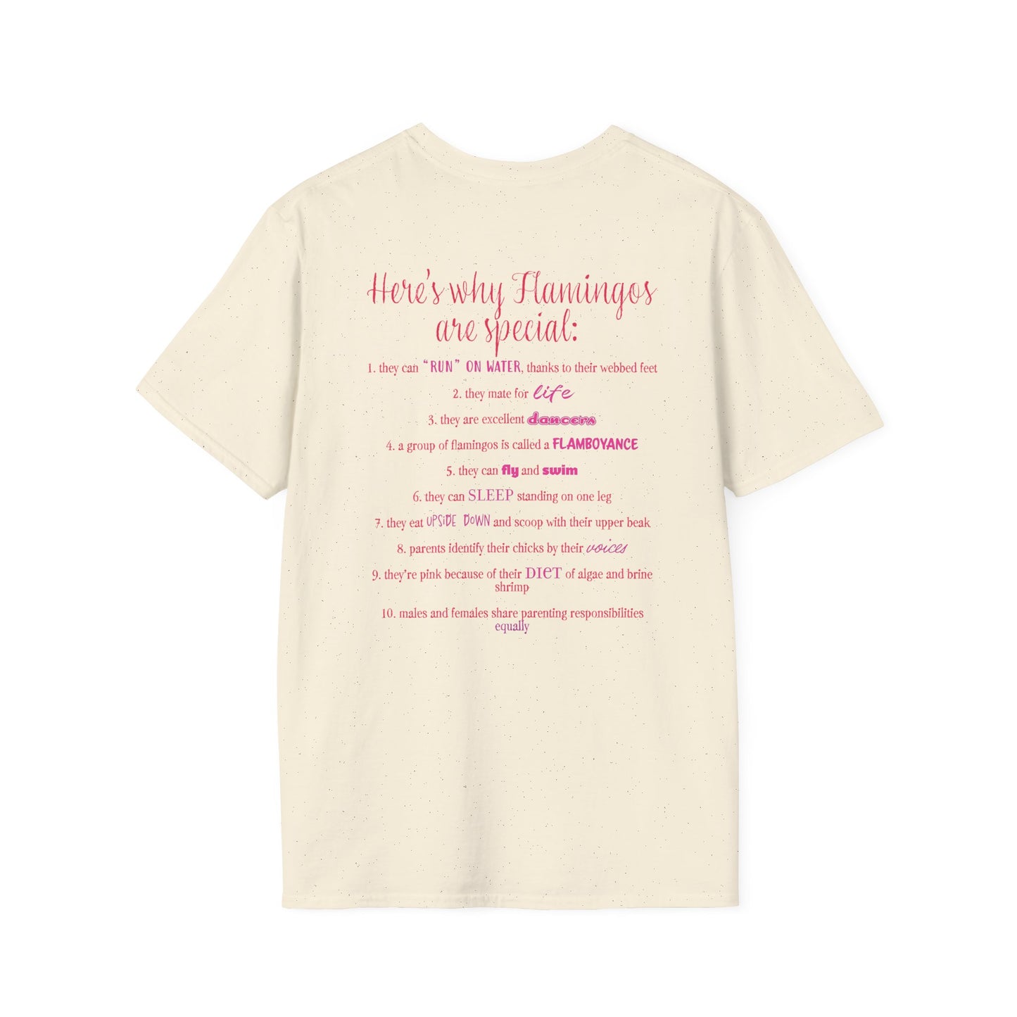 Back of a beige unisex short-sleeve tee that proudly declares “Here’s why flamingos are special” above a list of 10 fun flamingo facts — because nothing says style like bird-based trivia on your back.