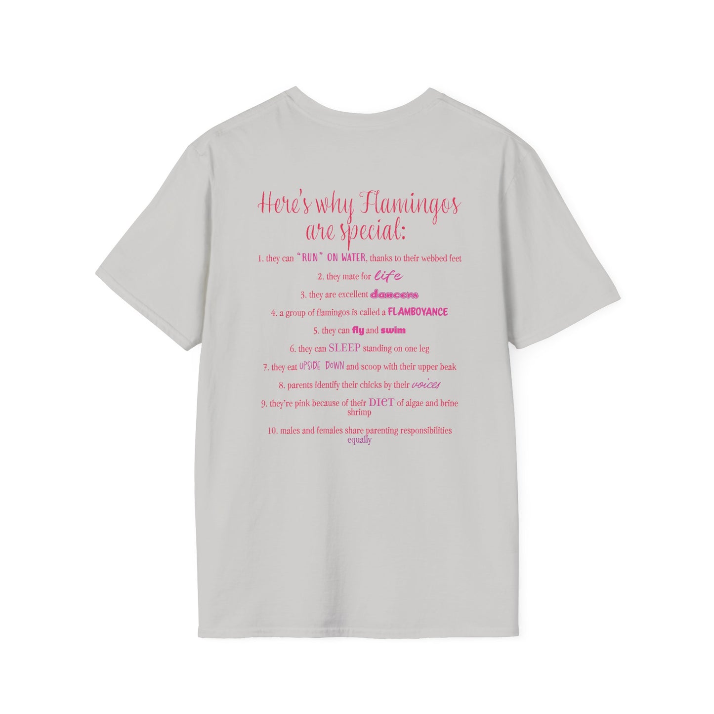 Back of a grey unisex short-sleeve tee that proudly declares “Here’s why flamingos are special” above a list of 10 fun flamingo facts — because nothing says style like bird-based trivia on your back.