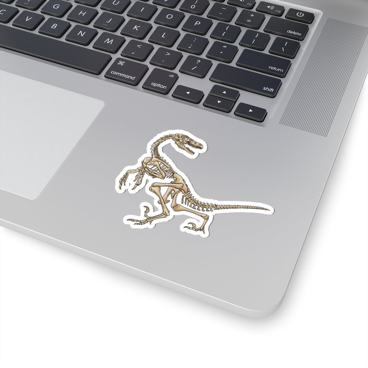 Velociraptor Skeleton Vinyl Sticker, Dinosaur Fossil Decal, Dino Skeleton Sticker