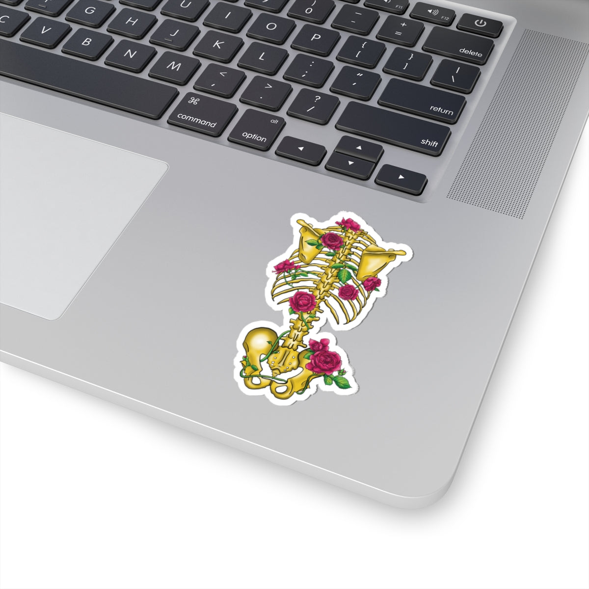 Gold Skeleton with Pink Roses Sticker, Gothic Skeleton Vinyl Decal, Skeletal Anatomy Sticker