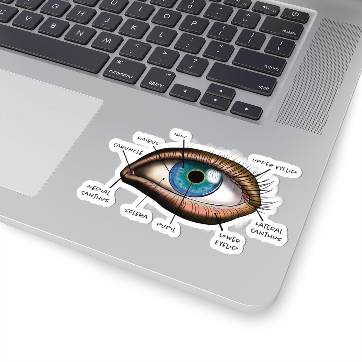 Medium sticker adhered to a computer featuring an anatomical diagram of a human eye, showing detailed structures like the iris, pupil, and other parts.