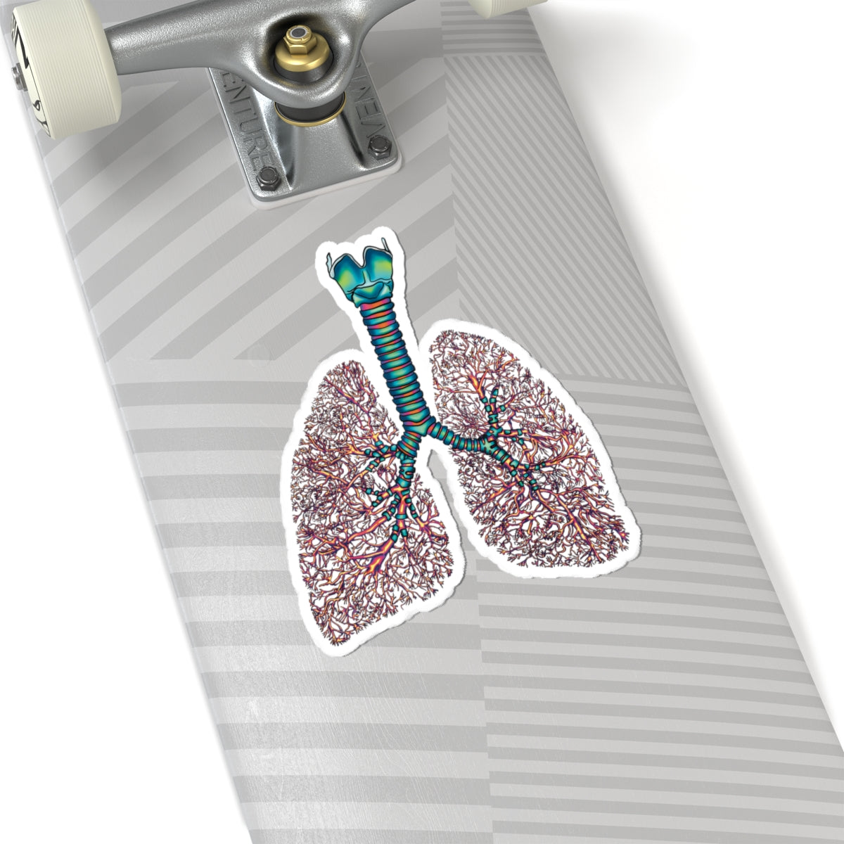 Anatomical Lungs Vinyl Sticker, Bronchial Tree Medical Illustration, Respiratory System Vinyl Decal