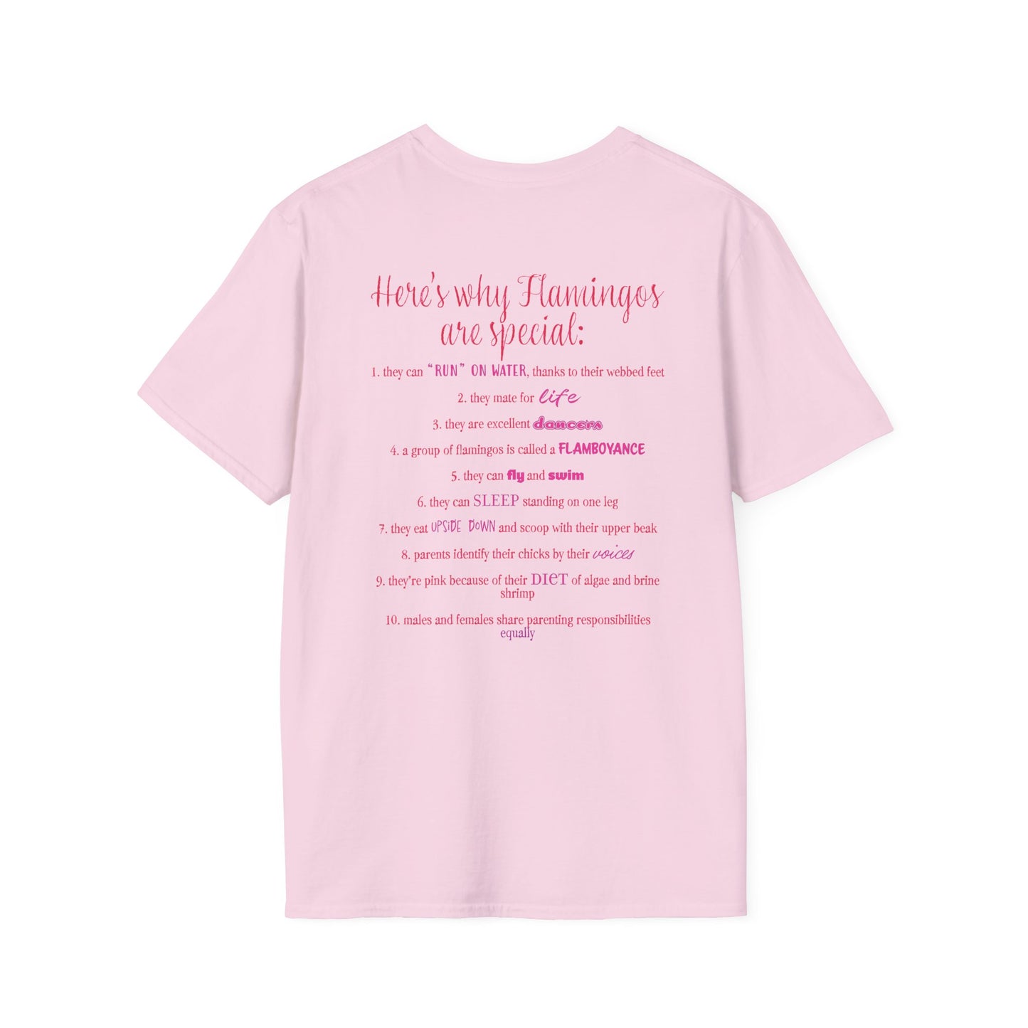 Back of a light pink unisex short-sleeve tee that proudly declares “Here’s why flamingos are special” above a list of 10 fun flamingo facts — because nothing says style like bird-based trivia on your back.