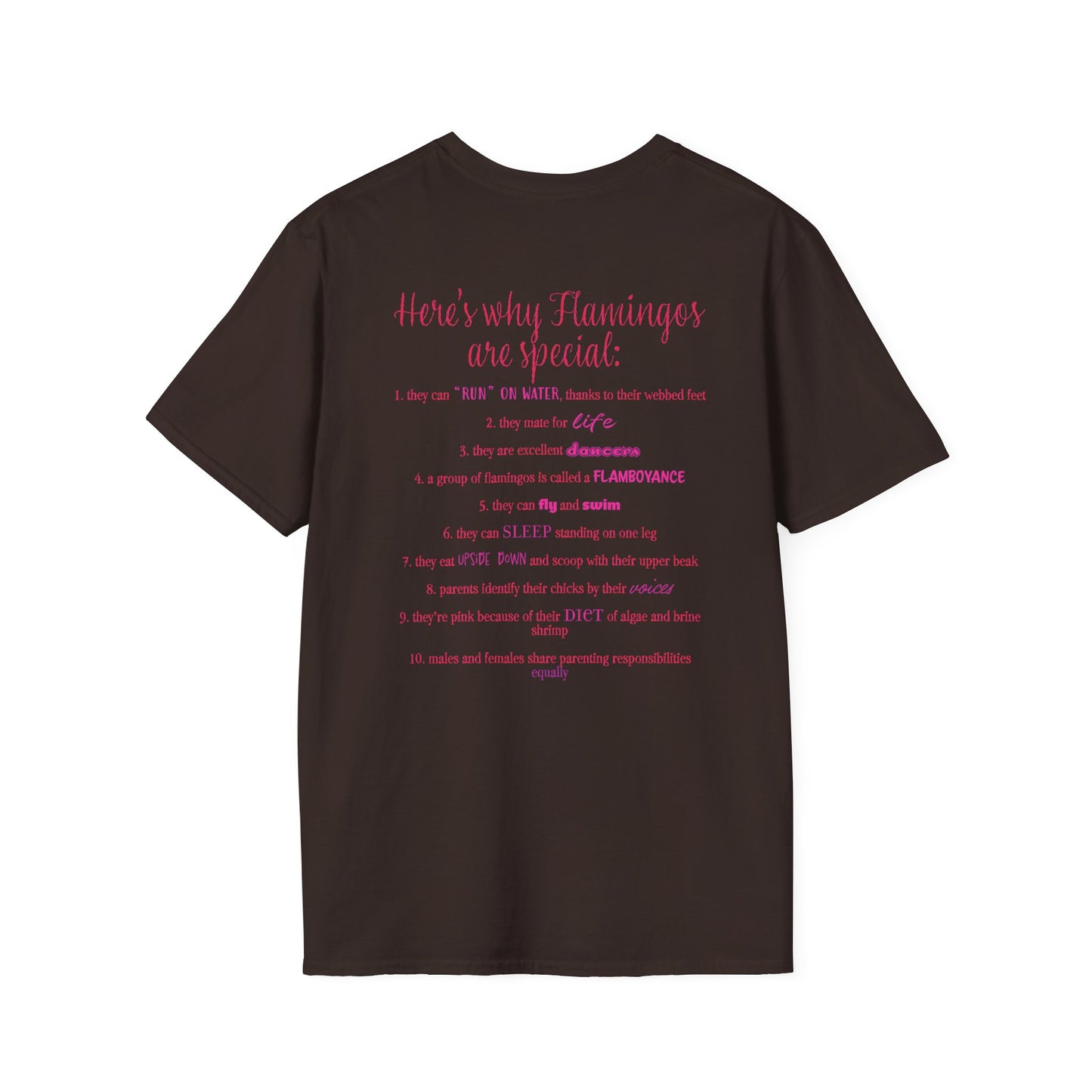 Back of a brown unisex short-sleeve tee that proudly declares “Here’s why flamingos are special” above a list of 10 fun flamingo facts — because nothing says style like bird-based trivia on your back.