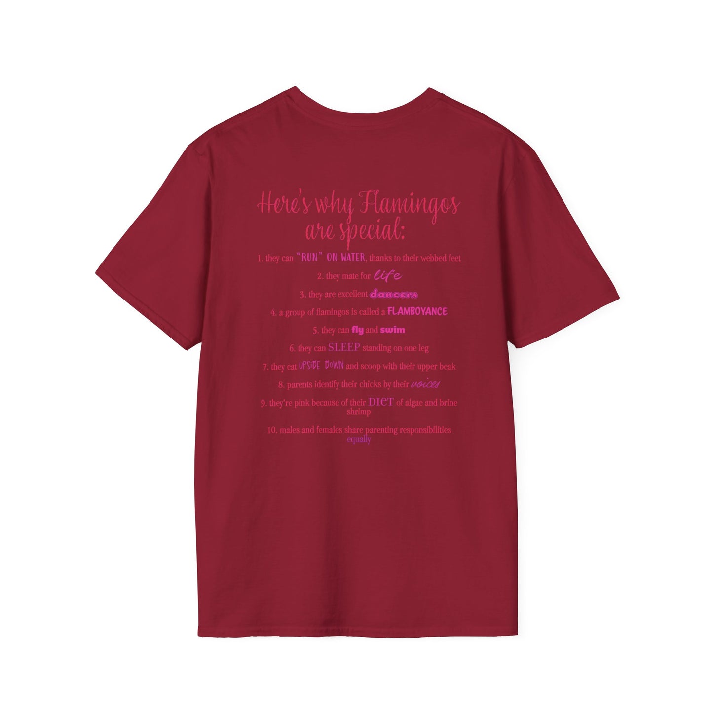 Back of a red unisex short-sleeve tee that proudly declares “Here’s why flamingos are special” above a list of 10 fun flamingo facts — because nothing says style like bird-based trivia on your back.