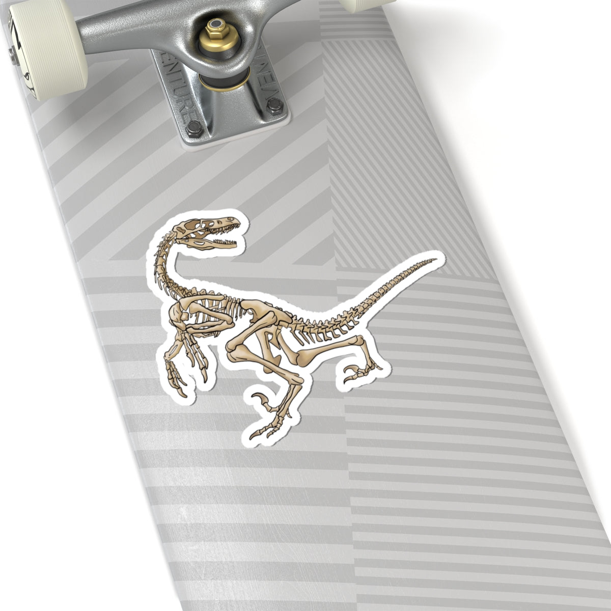 Velociraptor Skeleton Vinyl Sticker, Dinosaur Fossil Decal, Dino Skeleton Sticker