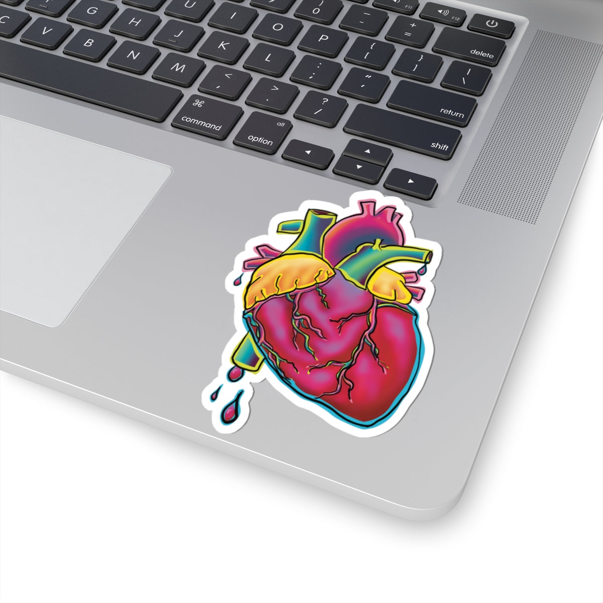 Colorful Anatomical Heart Vinyl Sticker, Neon Medical Art, Cardiology Sticker