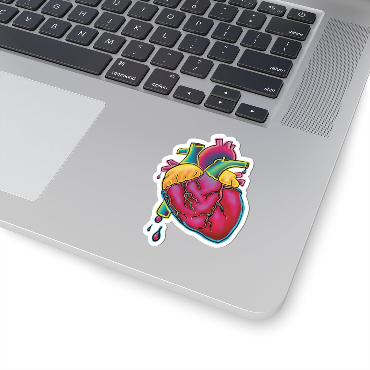 Colorful Anatomical Heart Vinyl Sticker, Neon Medical Art, Cardiology Sticker