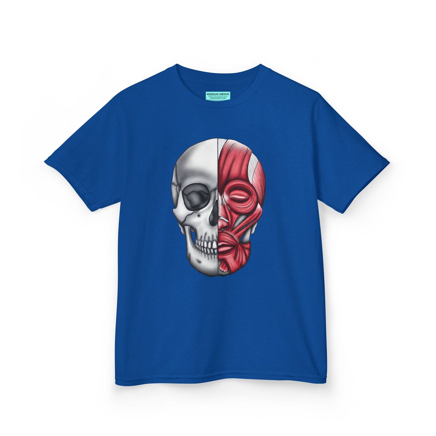 Kids' t-shirt in royal blue featuring an anatomical drawing of a human skull, with facial muscles illustrated on one half of the skull.