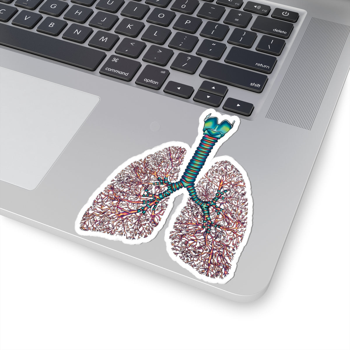 Anatomical Lungs Vinyl Sticker, Bronchial Tree Medical Illustration, Respiratory System Vinyl Decal