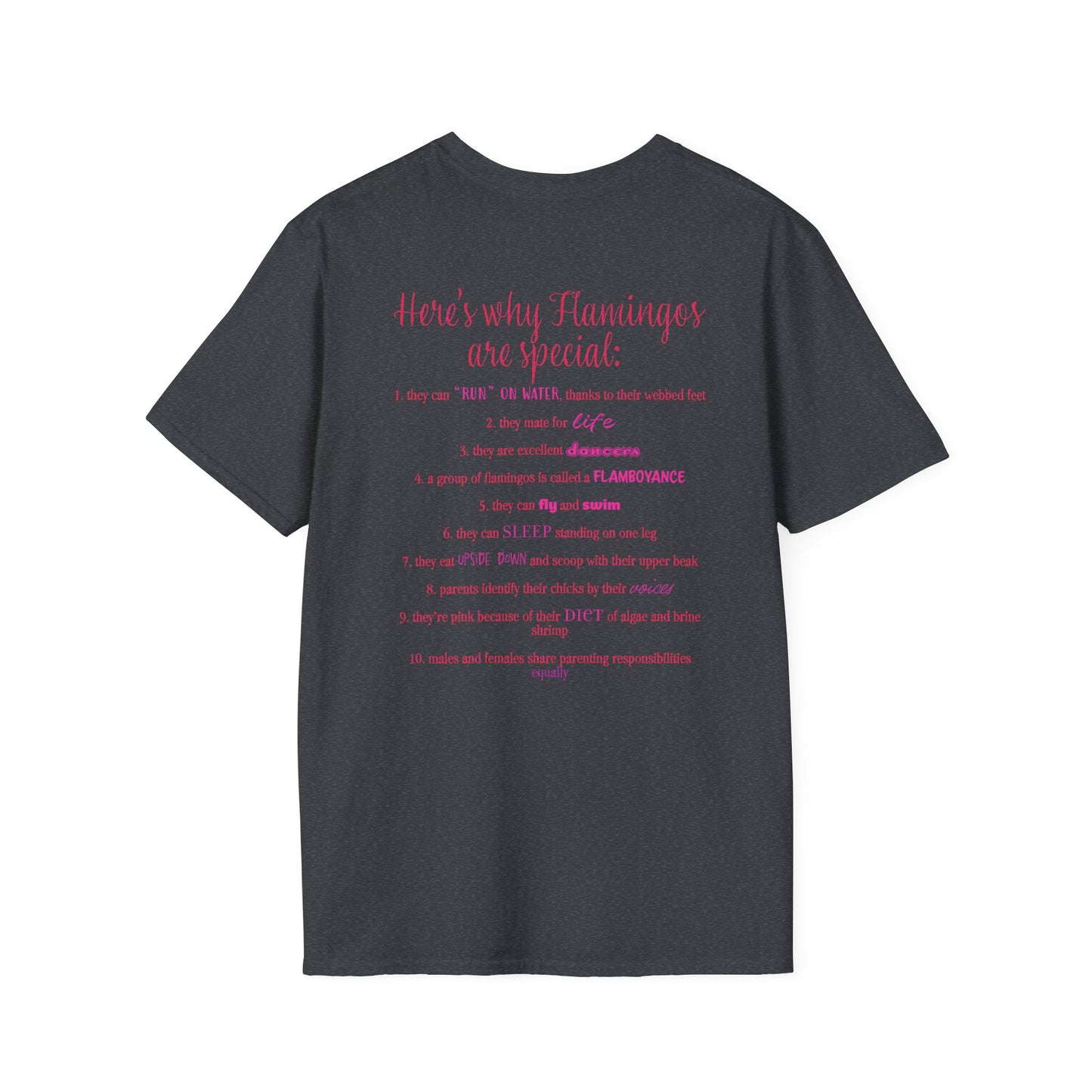 Back of a dark grey unisex short-sleeve tee that proudly declares “Here’s why flamingos are special” above a list of 10 fun flamingo facts — because nothing says style like bird-based trivia on your back.