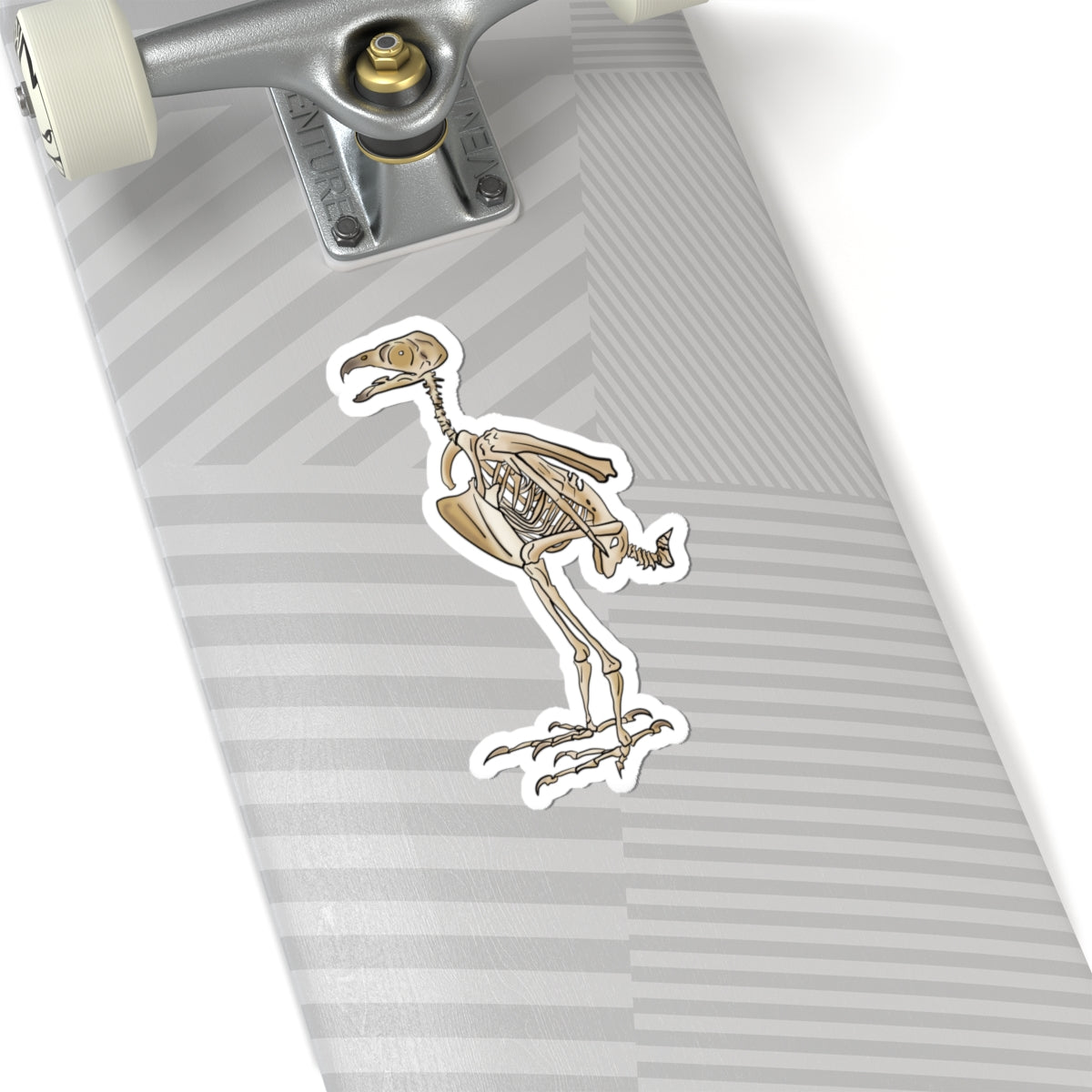 Peregrine Falcon Vinyl Sticker, Bird Skeleton Decal, Anatomical Bird Design