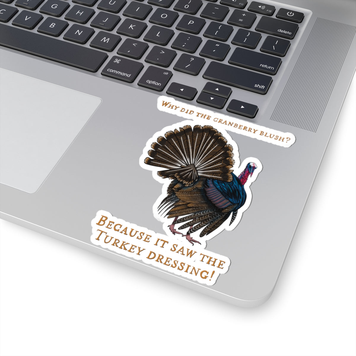 Funny Thanksgiving Turkey Joke Sticker, 'Why Did the Cranberry Blush?', Holiday Party Decor