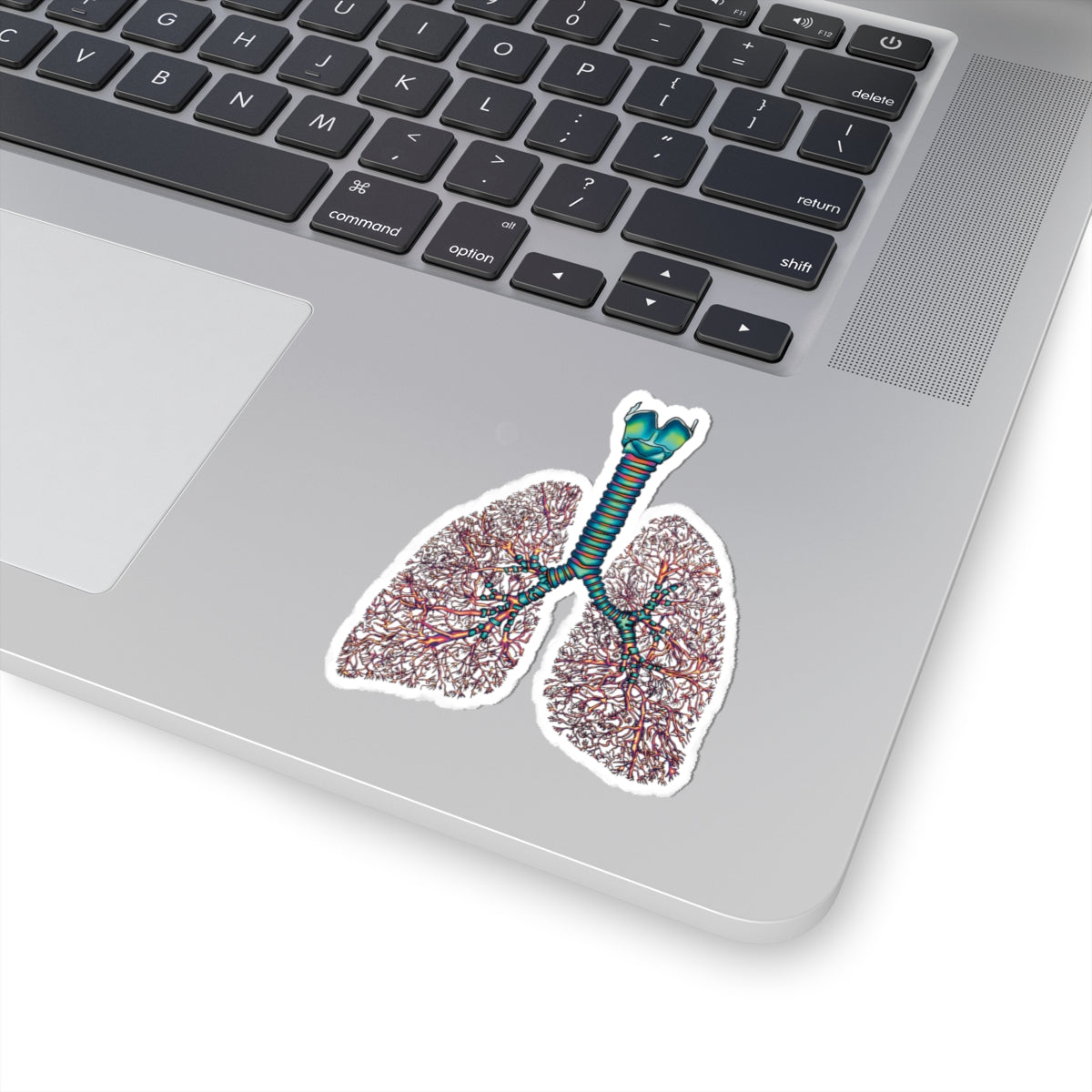 Anatomical Lungs Vinyl Sticker, Bronchial Tree Medical Illustration, Respiratory System Vinyl Decal