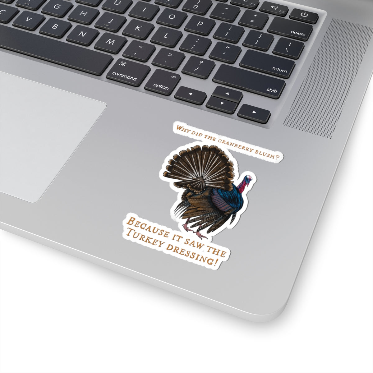 Funny Thanksgiving Turkey Joke Sticker, 'Why Did the Cranberry Blush?', Holiday Party Decor