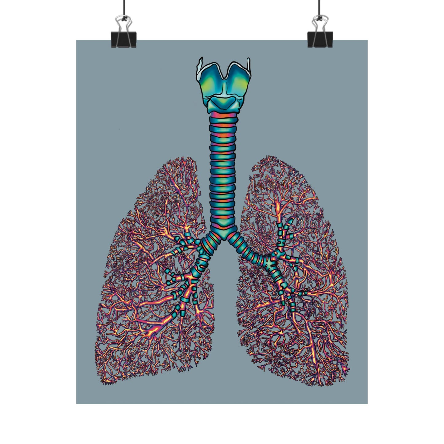 Medium poster displayed using binder clips, featuring an illustration of anatomical lungs with detailed bronchial tree, trachea, and larynx, set against a blue-grey background.