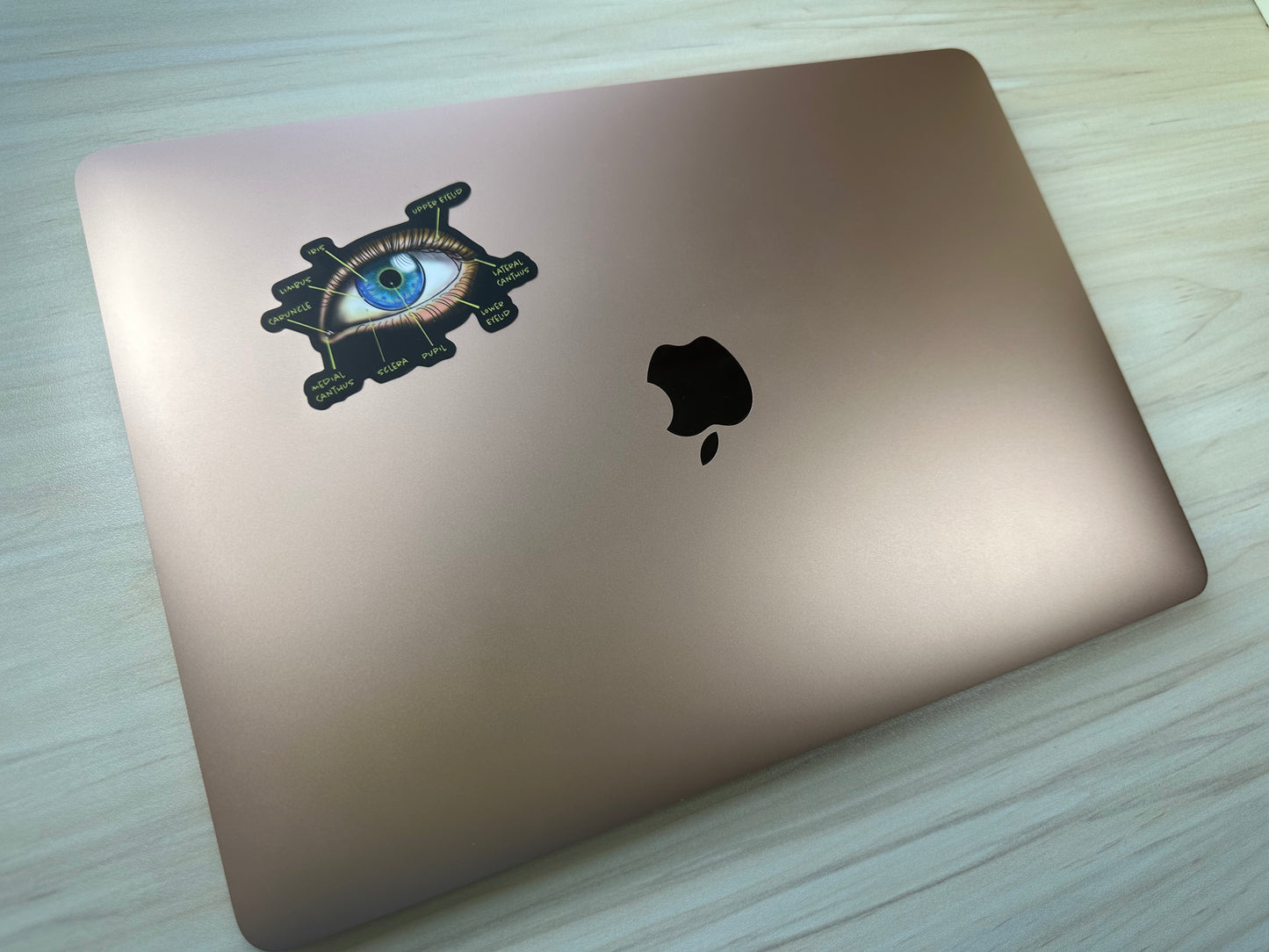 Anatomical Eye Diagram Sticker, Educational Medical Illustration, Optometry Sticker, Ophthalmology Sticker