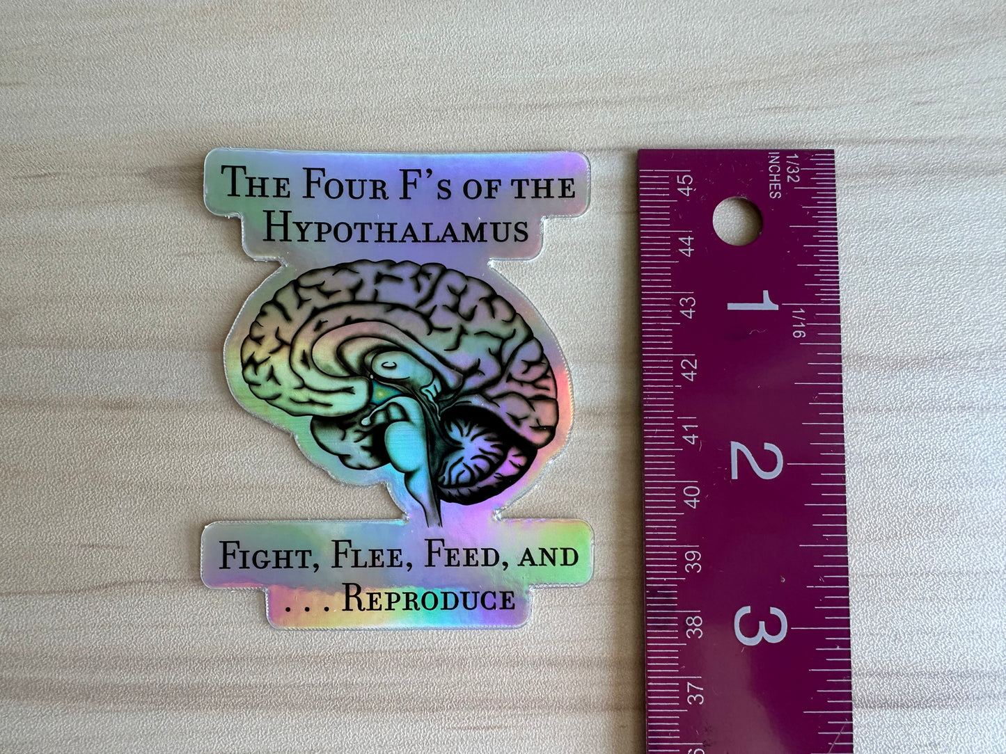 Holographic Brain Science Sticker, Funny Anatomy Sticker, The Four F's of Hypothalamus Educational Design, Neurology, Neuroscience