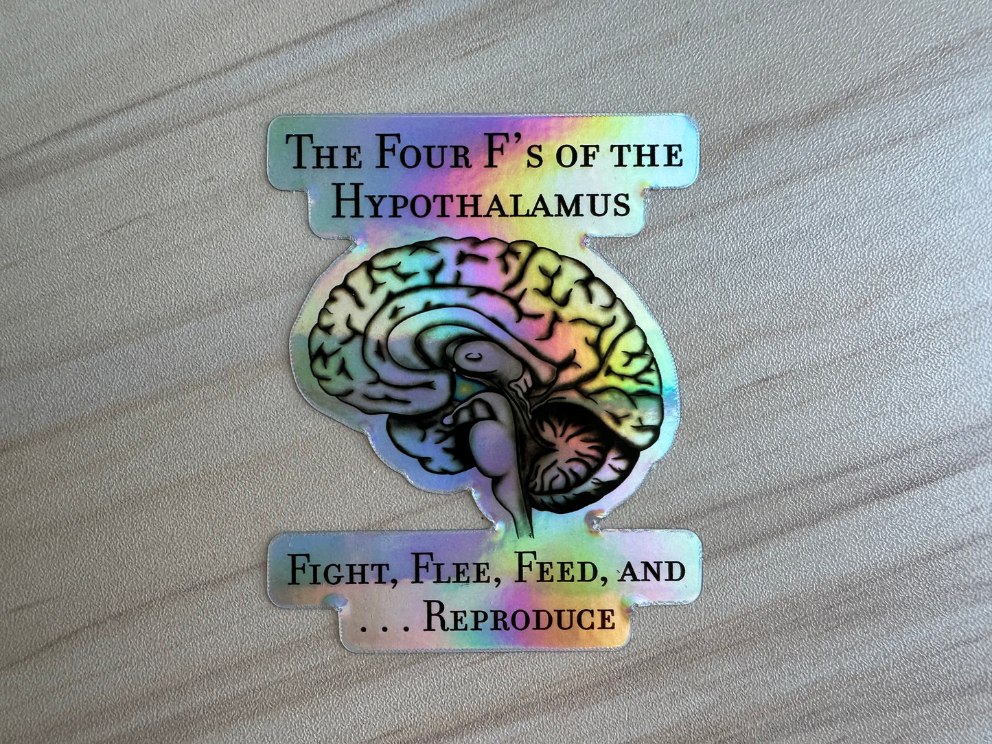 Holographic Brain Science Sticker, Funny Anatomy Sticker, The Four F's of Hypothalamus Educational Design, Neurology, Neuroscience