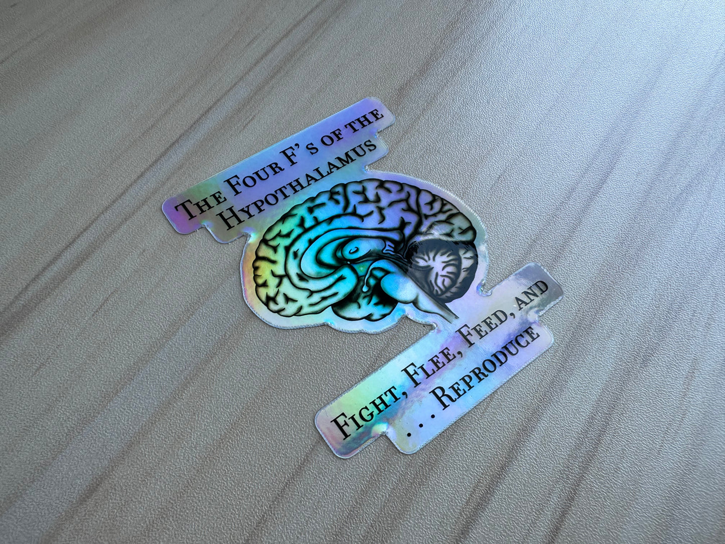 Holographic Brain Science Sticker, Funny Anatomy Sticker, The Four F's of Hypothalamus Educational Design, Neurology, Neuroscience