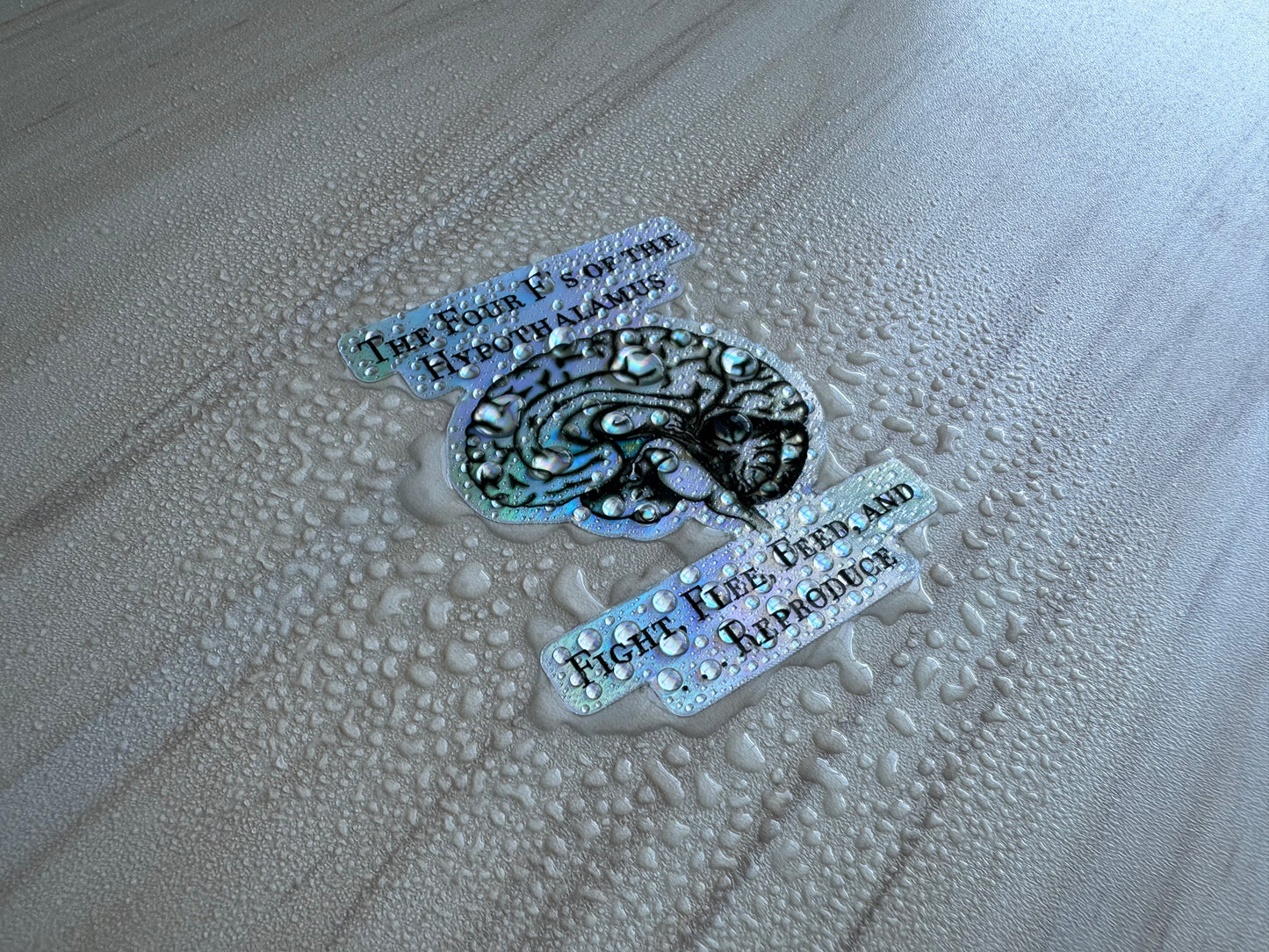 Holographic Brain Science Sticker, Funny Anatomy Sticker, The Four F's of Hypothalamus Educational Design, Neurology, Neuroscience