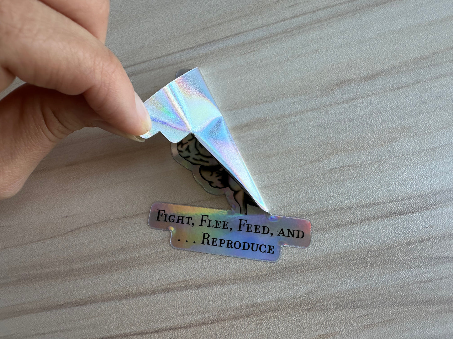 Holographic Brain Science Sticker, Funny Anatomy Sticker, The Four F's of Hypothalamus Educational Design, Neurology, Neuroscience