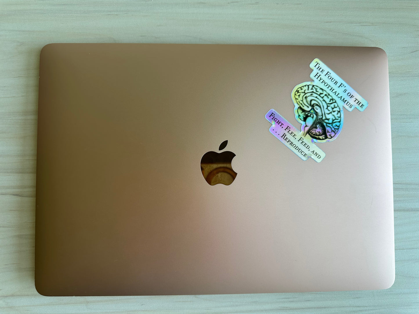 Holographic Brain Science Sticker, Funny Anatomy Sticker, The Four F's of Hypothalamus Educational Design, Neurology, Neuroscience