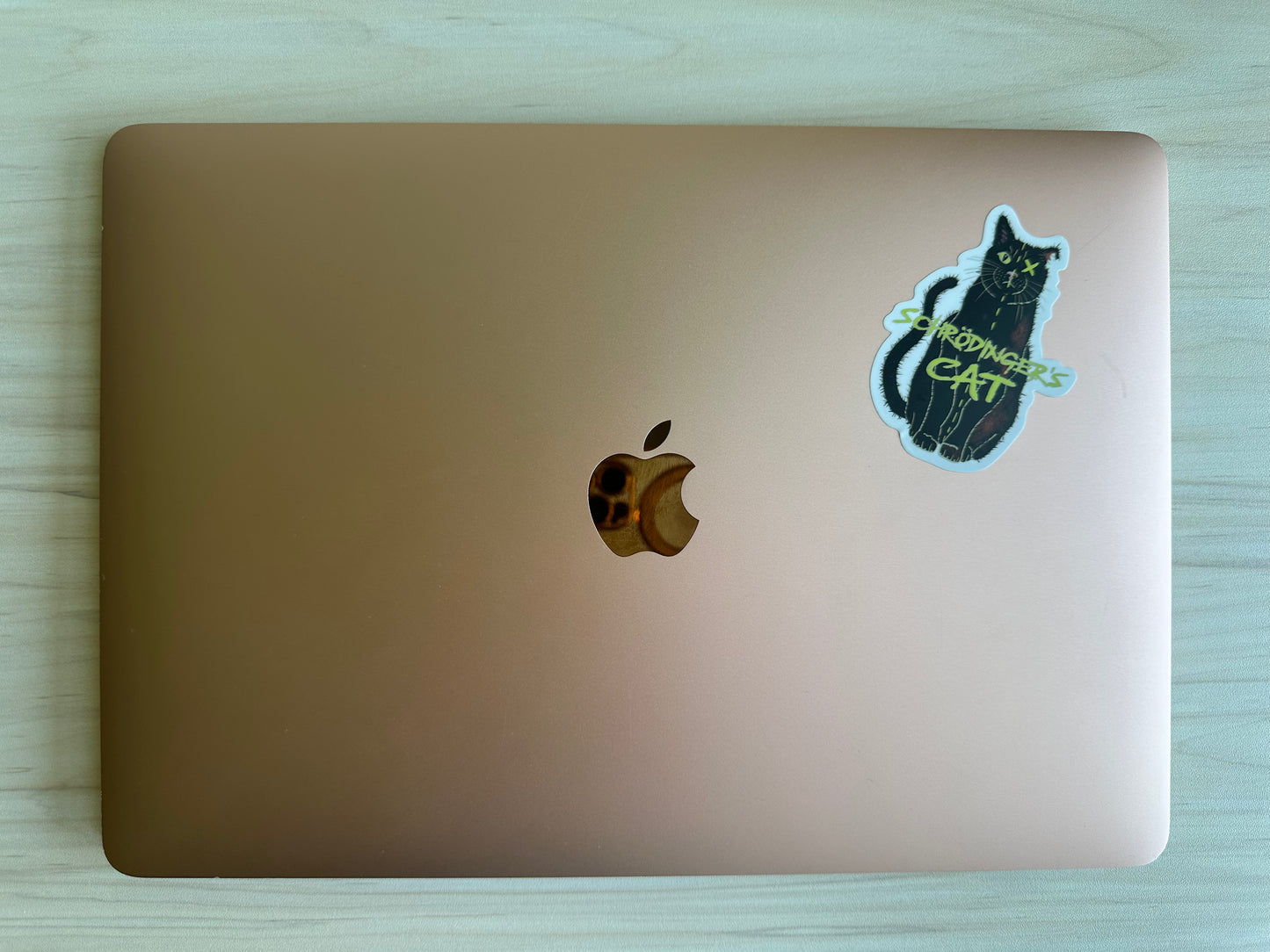 Schrodinger's Cat Sticker, Physics Vinyl Decal, Dark Academia, Physics Sticker