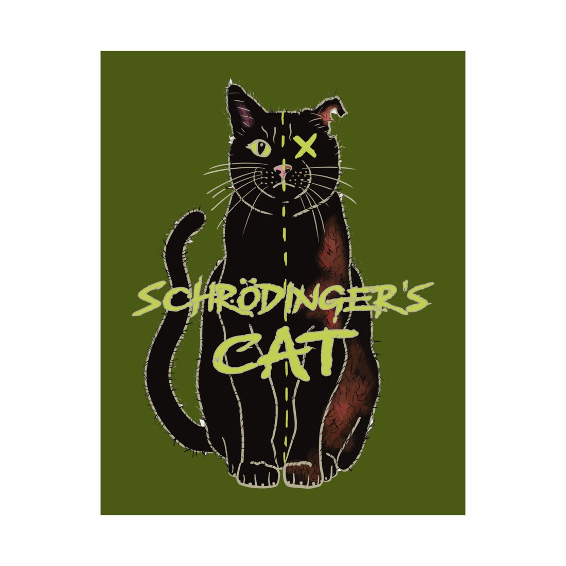 Schrödinger's Cat Experiment