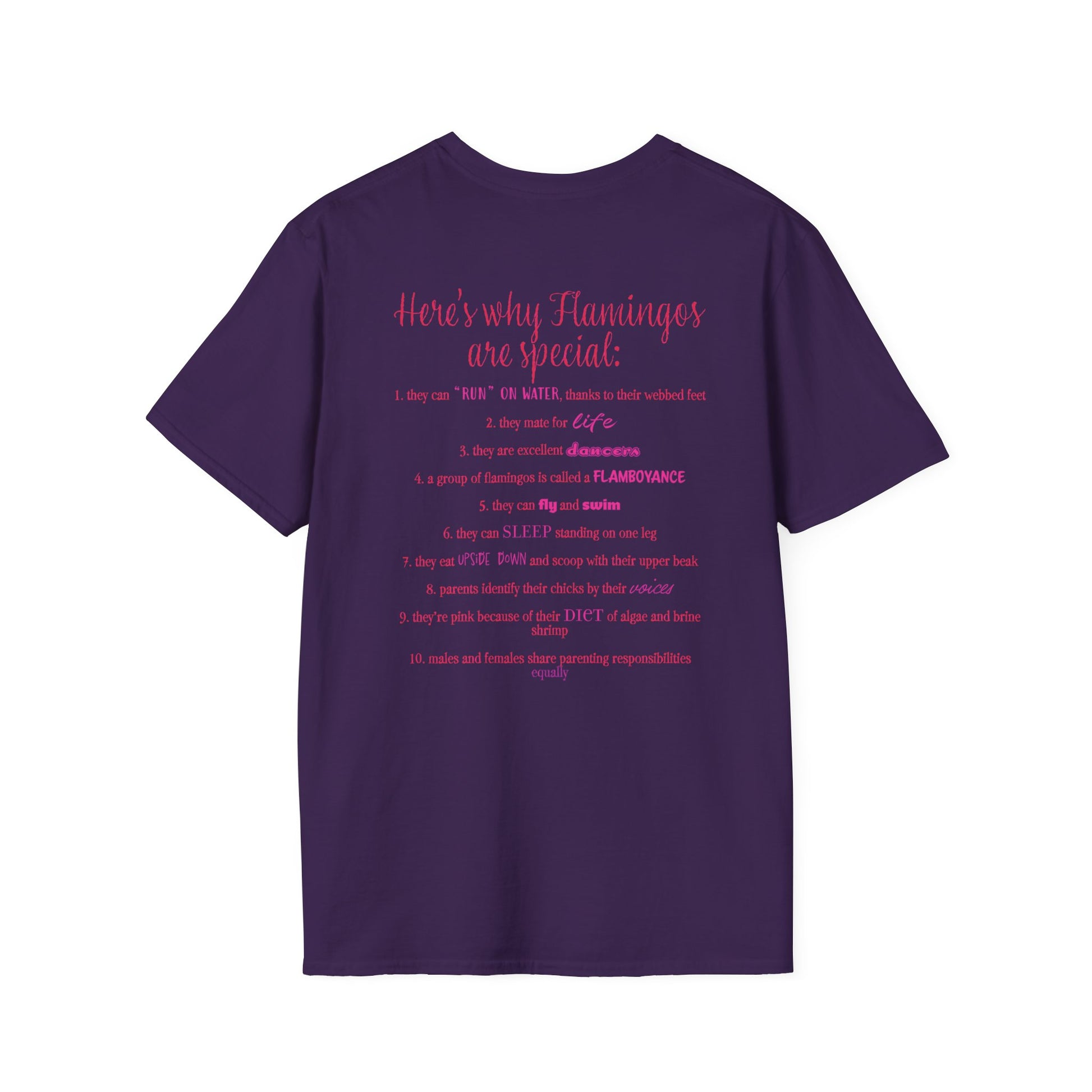 Back of a purple unisex short-sleeve tee that proudly declares “Here’s why flamingos are special” above a list of 10 fun flamingo facts — because nothing says style like bird-based trivia on your back.