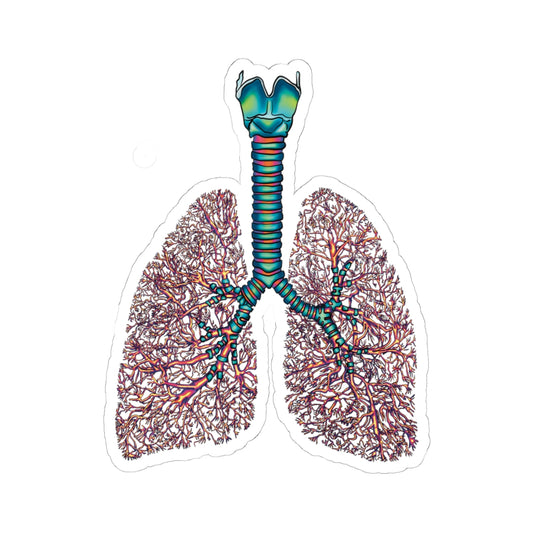 Anatomical Lungs Vinyl Sticker, Bronchial Tree Medical Illustration, Respiratory System Vinyl Decal