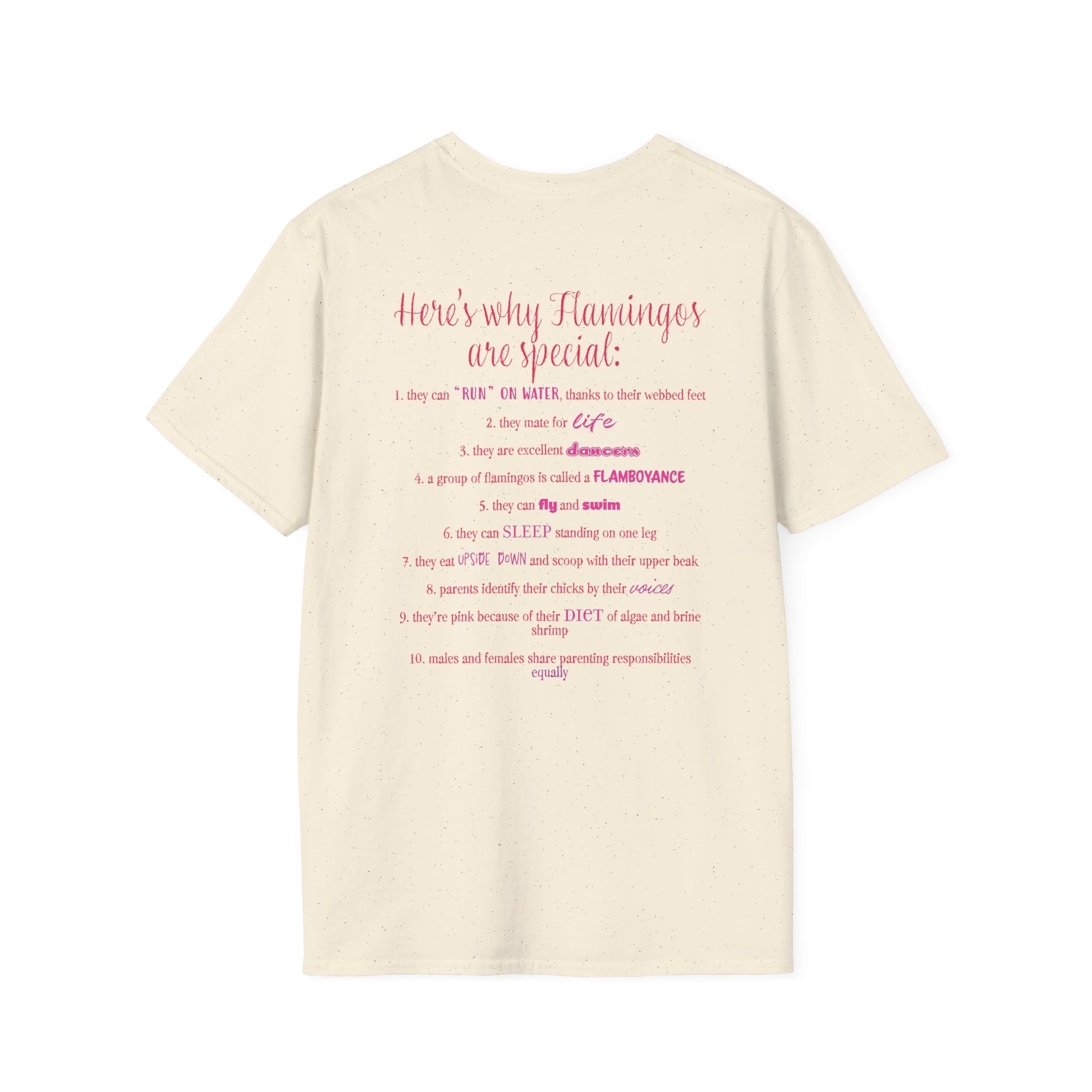 Back of a beige unisex short-sleeve tee that proudly declares “Here’s why flamingos are special” above a list of 10 fun flamingo facts — because nothing says style like bird-based trivia on your back.
