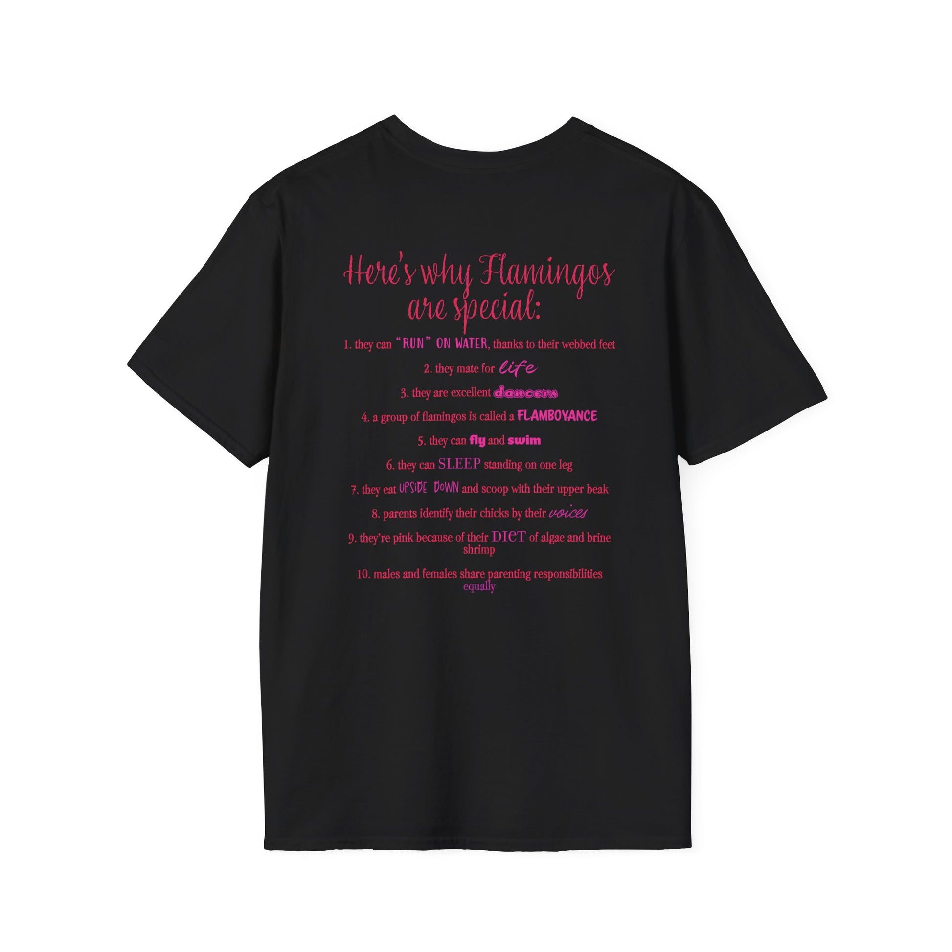 Back of a black unisex short-sleeve tee that proudly declares “Here’s why flamingos are special” above a list of 10 fun flamingo facts — because nothing says style like bird-based trivia on your back.