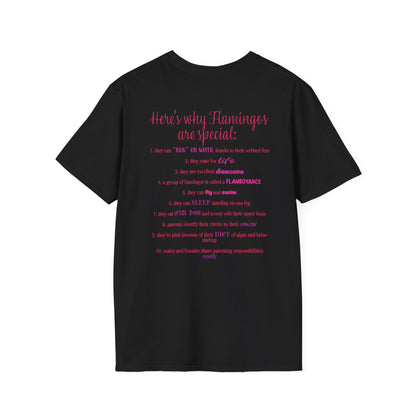 Back of a black unisex short-sleeve tee that proudly declares “Here’s why flamingos are special” above a list of 10 fun flamingo facts — because nothing says style like bird-based trivia on your back.