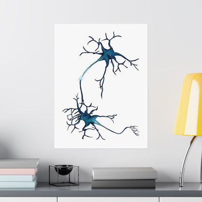 Neuron Wall Poster, Nervous System Anatomical Art Print, Neural Network Poster, Medical Illustration