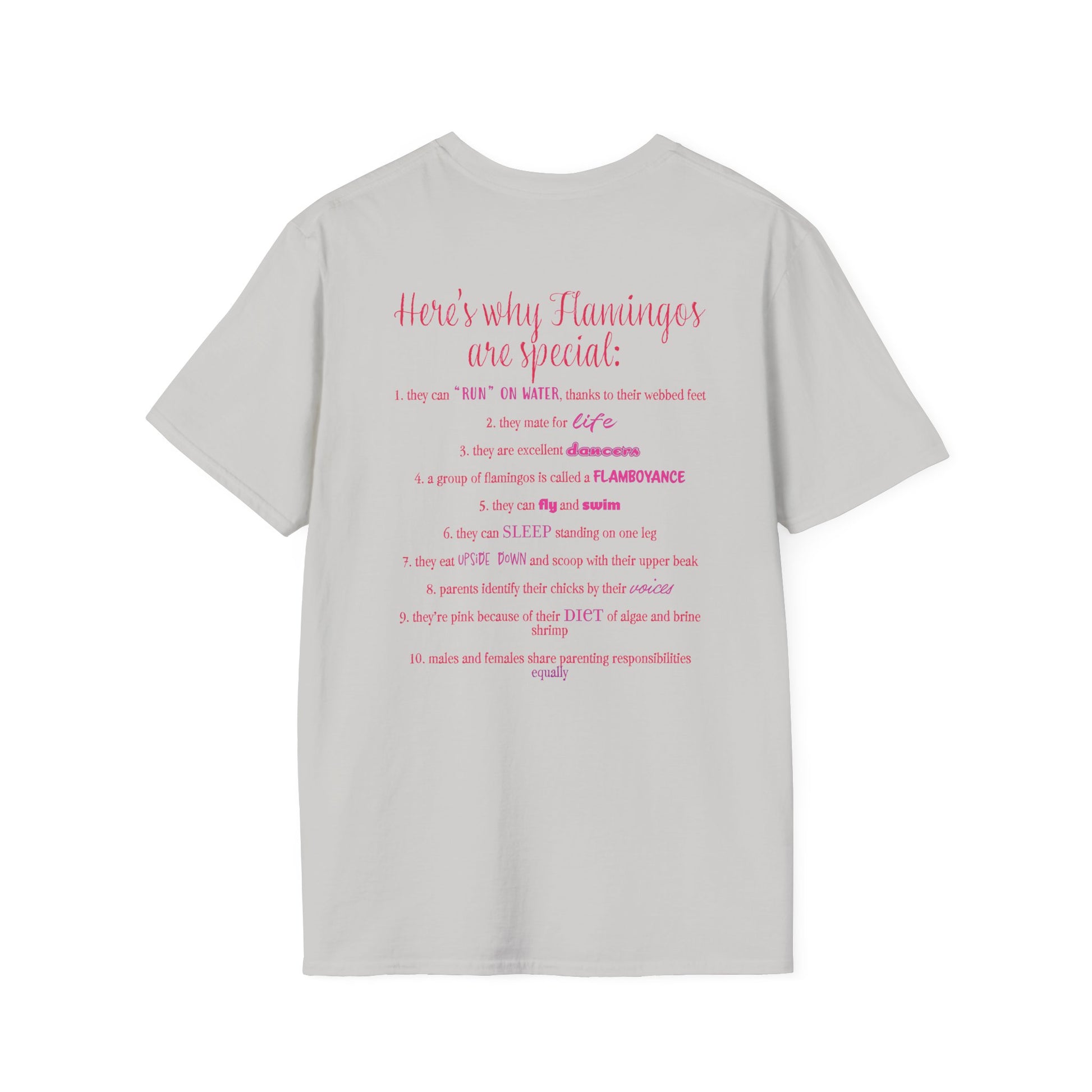 Back of a grey unisex short-sleeve tee that proudly declares “Here’s why flamingos are special” above a list of 10 fun flamingo facts — because nothing says style like bird-based trivia on your back.