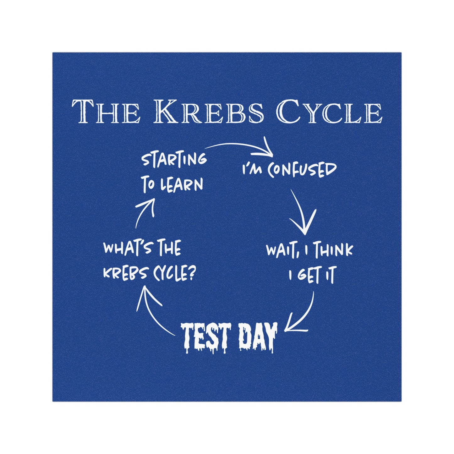 Funny Krebs Cycle Car Magnet, Biology Student Gift, Citric Acid Cycle Refrigerator Magnet
