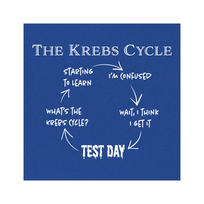 Funny Krebs Cycle Car Magnet, Biology Student Gift, Citric Acid Cycle Refrigerator Magnet