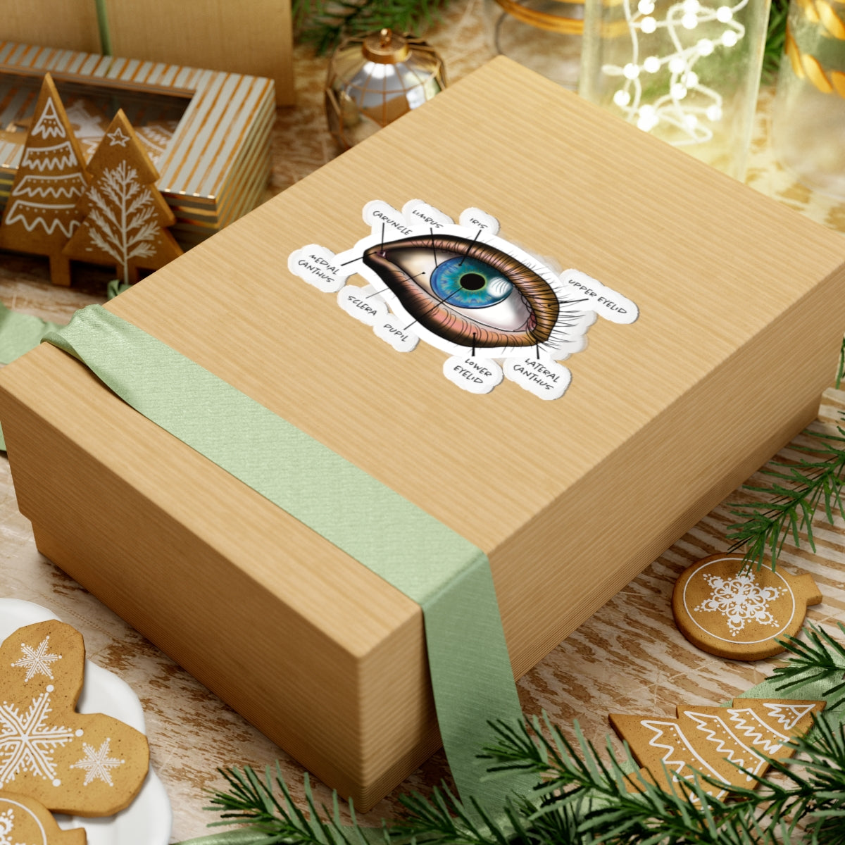 Medium sticker adhered to a gift featuring an anatomical diagram of a human eye, showing detailed structures like the iris, pupil, and other parts.