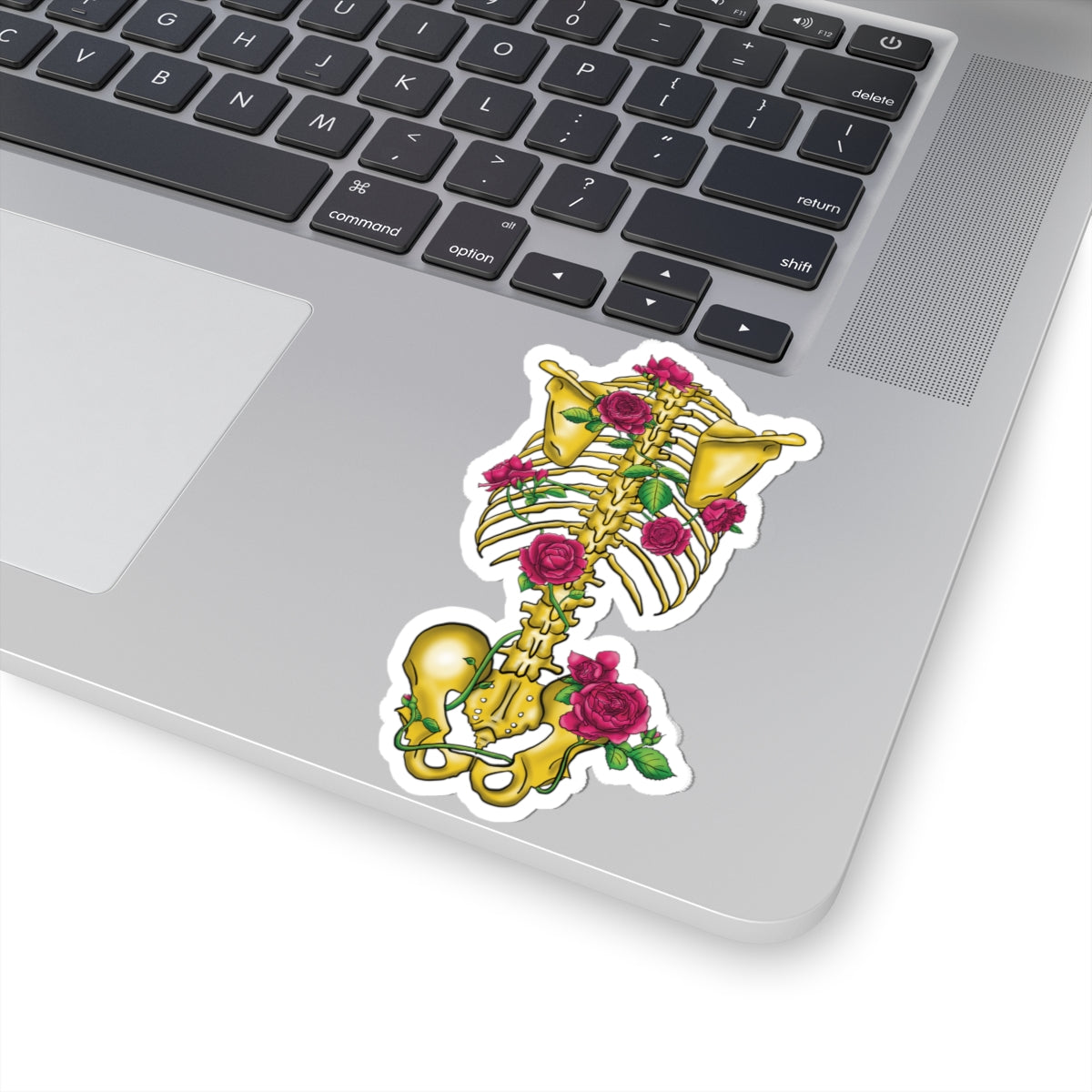 Gold Skeleton with Pink Roses Sticker, Gothic Skeleton Vinyl Decal, Skeletal Anatomy Sticker