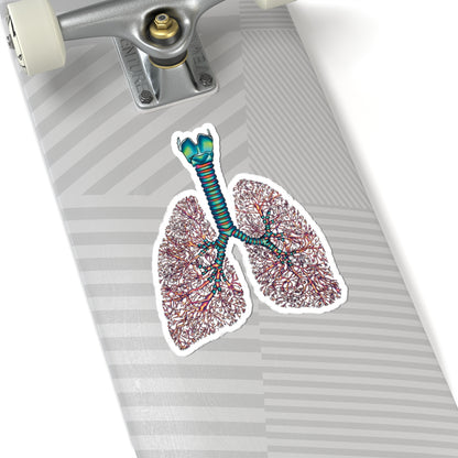 Anatomical Lungs Vinyl Sticker, Bronchial Tree Medical Illustration, Respiratory System Vinyl Decal