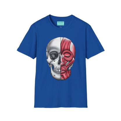 Royal blue shirt featuring an anatomically correct skull illustration, with half of the skull covered by facial muscles.