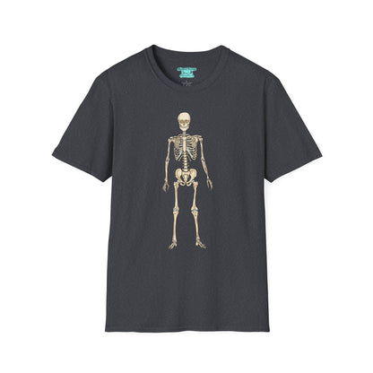 Anatomical Skeleton Graphic T-Shirt, Unisex Short Sleeve Tee, Human Anatomy Gift
