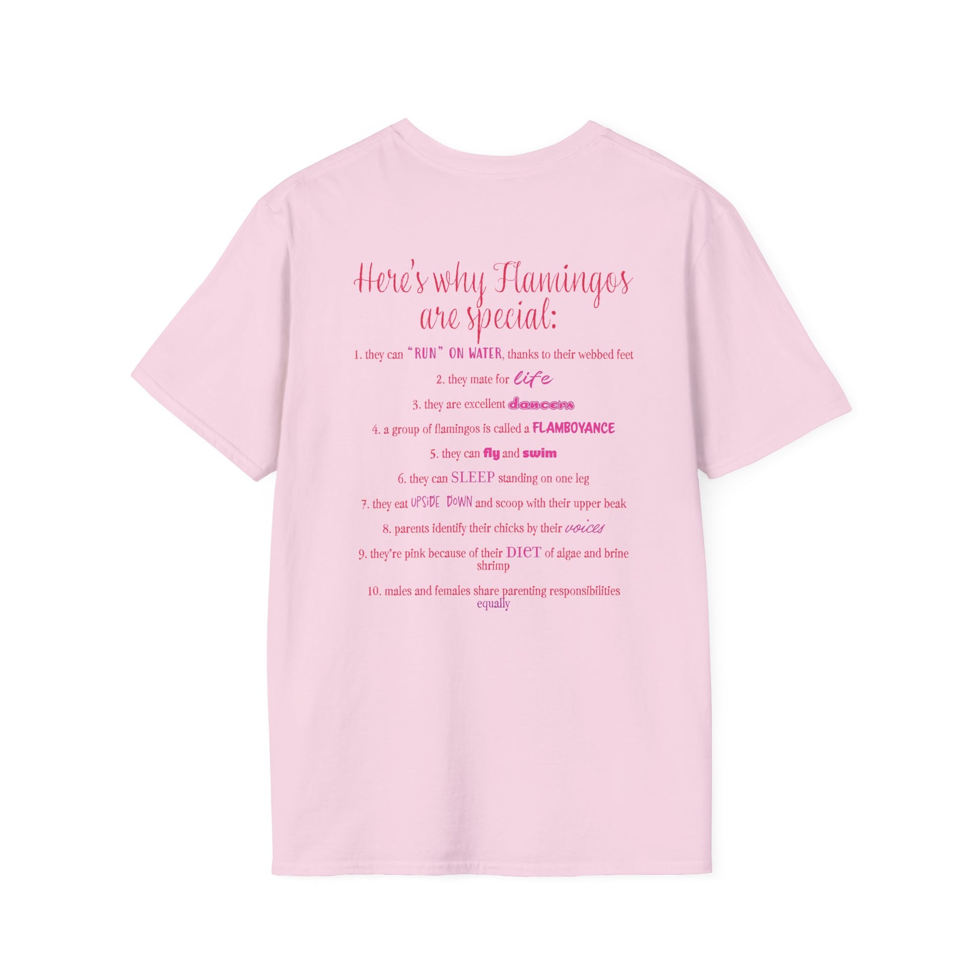 Back of a light pink unisex short-sleeve tee that proudly declares “Here’s why flamingos are special” above a list of 10 fun flamingo facts — because nothing says style like bird-based trivia on your back.