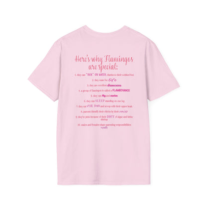 Back of a light pink unisex short-sleeve tee that proudly declares “Here’s why flamingos are special” above a list of 10 fun flamingo facts — because nothing says style like bird-based trivia on your back.