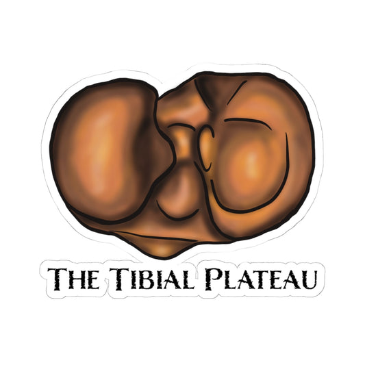 Tibial Plateau Sticker, Knee Anatomy Vinyl Decal, Medical Pun Sticker