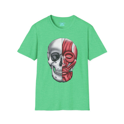 Anatomical Skull T-Shirt, Facial Musculature Medical Illustration, Short Sleeve Skull Shirt
