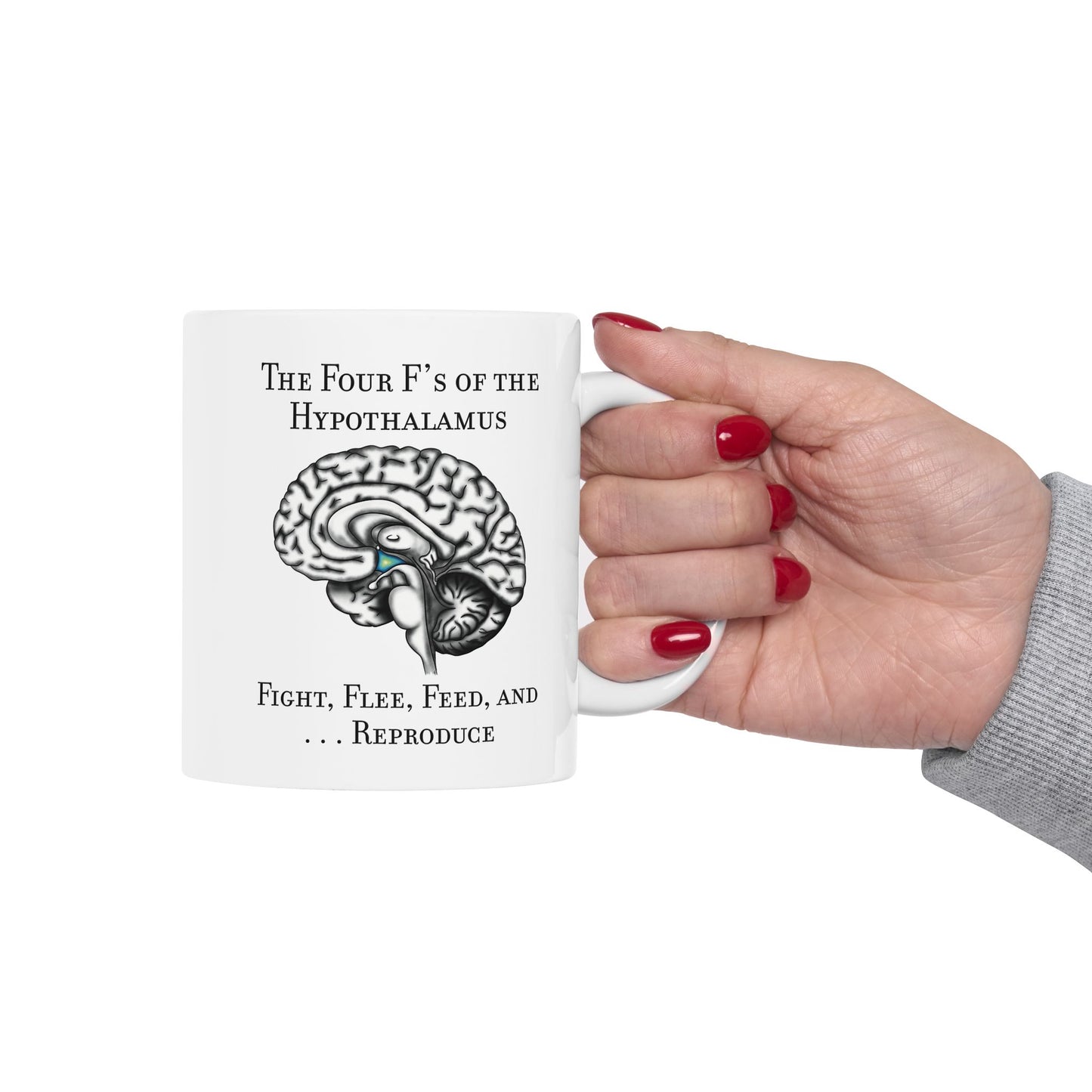 Funny Neuroscience Ceramic Mug: 4 F's of the Hypothalamus Joke, Neurology, Neuroanatomy, Brain Anatomy Gift